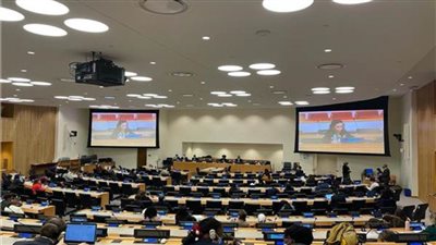 «قومي المرأة» يشارك في المائدة المستديرة حول برامج تغير المناخ 