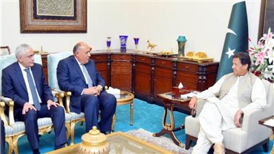 شكري يسلم رسالة السيسي إلى رئيس الوزراء الباكستاني