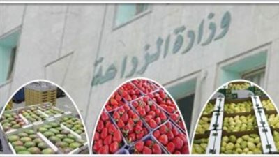 الزراعة: ضخ كميات كبيرة من المنتجات الغذائية بمنافذ القطاع بأسعار تنافسية