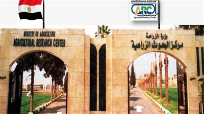 وزير الزراعة: التصنيف الجديد لمركز البحوث الزراعية يجعله الأفضل في القطاع الزراعي بالشرق الأوسط وشمال إفريقيا