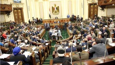 تضامن النواب توافق علي تعديل تشريعي جديد بشأن سيارات ذوي الاعاقة