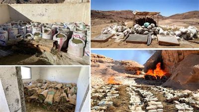 القوات المسلحة تعلن تدمير 555 فدانا من مزارع نباتات الخشخاش والبانجو بجنوب سيناء