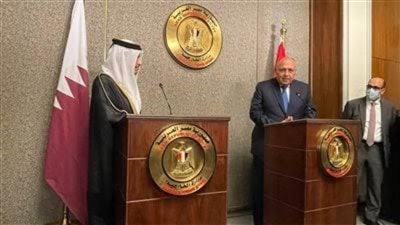 العلاقات بين مصر وقطر عادت إلى وضعها الطبيعي وأصلها المتين