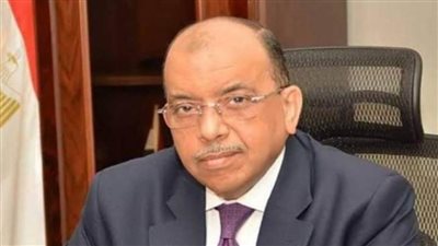  شعراوي: تمويل 24 ألف مشروع صغير ومتناهي الصغر بإجمالي قروض 160 مليون جنيه في 8 سنوات