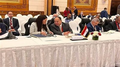 وزير المالية يدعو لتبني استراتيجية للتحوط العربي ضد صدمات الاقتصاد الخارجية