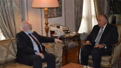 شكرى يستقبل رئيس الدورة الـ27 لمؤتمر اتفاقية الأمم المتحدة لتغير المناخ