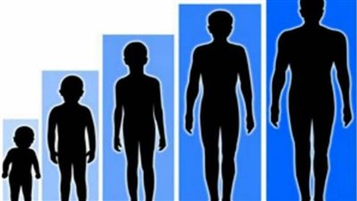 «دراسة».. تكشف سبب قِصر قامات البشر بمرور الزمن