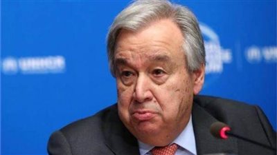 الأمم المتحدة: أوكرانيا والاتحاد الروسي يوفران 30 % من القمح والشعير