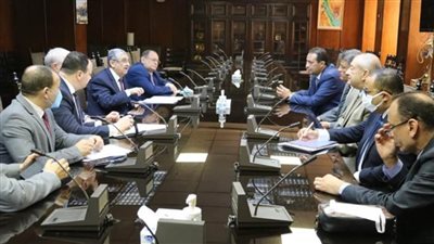 وزير الكهرباء ومحافظ جنوب سيناء ينسقان لمؤتمر المناخ (صور)