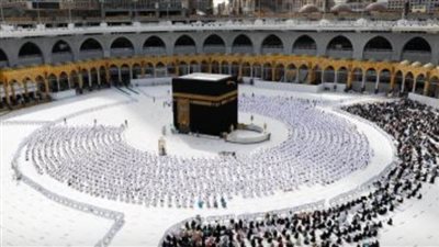 (60) مطوفا يعملون في المسجد الحرام والتحول الرقمي يتيح تقديم الخدمة إلكترونياً