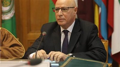 الجامعة العربية تؤكد حرصها على تناسق جهود الممارسين لمهام إعلامية