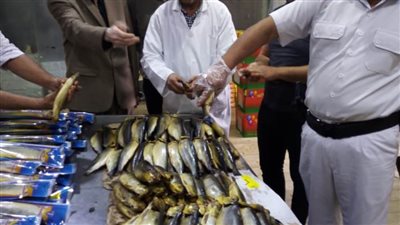 ضبط كميات كبيرة من الرنجة واللحوم الفاسدة بالغربية