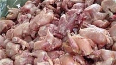 ضبط 3 أطنان دواجن فاسدة بالقاهرة