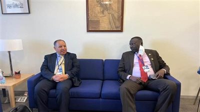 وزير المالية: نسعى لتعزيز التعاون مع جنوب السودان في مجال التنمية الشاملة (صور)