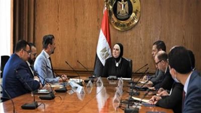 نيفين جامع: نمتلك جميع المقومات لنصبح مركزاً إقليمياً لصناعة السيارات