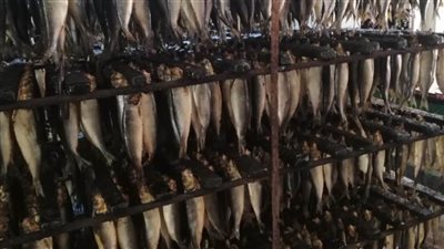 تحرير ١٦ مخالفة و ١٤ محضر في حملات تموينية مكثفة فى الغربية