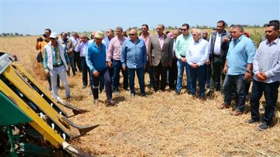 محافظ بورسعيد يتفقد موسم حصاد القمح بأحد الحقول الزراعية جنوب بورسعيد