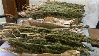 حبس عاطل لحيازته 4 كيلو بانجو بالقاهرة