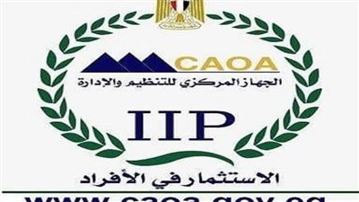 التنظيم والإدارة: بدء تقييم أكثر من 212 ألف متقدم لمسابقة شغل وظائف بوزارة الأوقاف الشهر الجاري