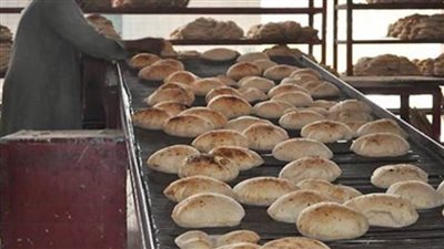 تحرير 57 محضرا في مجال المخابز والأسواق بالدقهلية