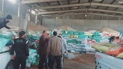 محافظ بورسعيد: توريد 950 طن قمح لشون وصوامع المحافظة