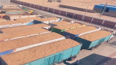 وزير الزراعة يتابع حصاد وتوريد القمح في جميع محافظات (صور)