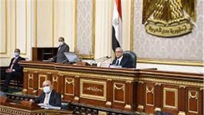 «النواب» يوافق على تمويل التحول المستدام للمواءمة الزراعية في صعيد مصر
