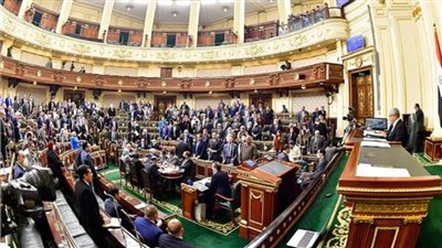 زراعة البرلمان تطالب باعتماد تكلفة تغطية مصرف السيل في أسوان بالموازنة 