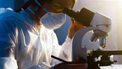 من بكتيريا التربة.. علماء يطورون طريقة 