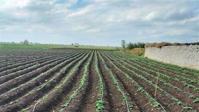 وزير الري يتابع موقف مشروعات تأهيل الترع والمساقي والتحول للري الحديث في القليوبية (صور)