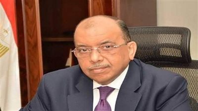وزير التنمية المحلية يتابع حل المشكلات لـ