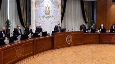 وزير الطيران يستعرض الموقف التنفيذي لمشروع تطوير مطار سفنكس الدولي (صور)