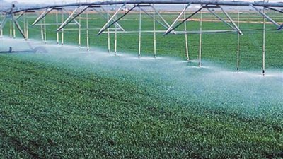 بالإنفوجراف | 