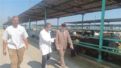 فحص 131 حيوان و3596 طائر في قافلة بيطرية بمركزي السنطة وسمنود