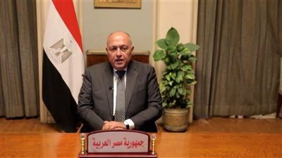 شكري يتوجه إلى دافوس للمشاركة في فعاليات المنتدى الاقتصادي العالمي