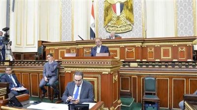 شعراوي يعرض إجراءات الحكومة والاستعداد لموسم الأمطار أمام مجلس النواب