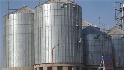 محافظ المنوفية: توريد 121أالف طن قمح