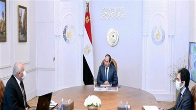 عاجل | الرئيس السيسي يوجه بمواصلة تنفيذ الخطط التنموية في الوادي الجديد 