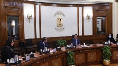 رئيس الوزراء يلتقي الرئيس التنفيذي لمجموعة شركات 
