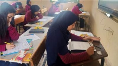 طلاب الصف الثانى الثانوى يبدأون امتحان الأحياء والفلسفة والمنطق ورقيا