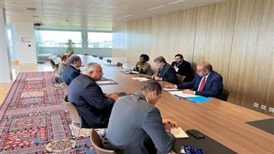 استمرار فعاليات مؤتمر العمل الدولي بجنيف لليوم الـ8 بمشاركة وزير القوى العاملة (صور)