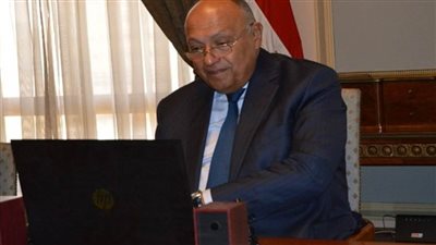 وزير الخارجية يجري اتصالا مرئيا مع نظيرته التنزانية (صور)