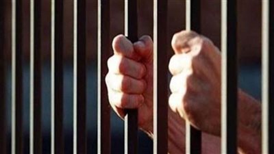 السجن والغرامة تواجه المزور والنصاب الإلكتروني بالجيزة