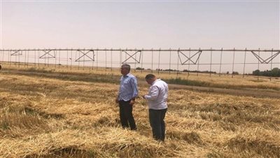 وزير قطاع الأعمال العام يتلقى تقريرًا عن تطور أداء شركة جنوب الوادي بتوشكى وفرص الشراكة مع القطاع الخاص