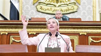 وزيرة البيئة: تم وضع استراتيجية لتغير المناخ 2050 