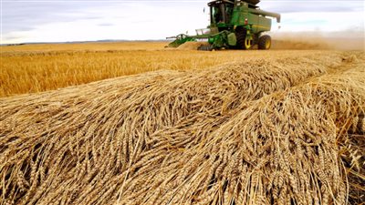 أمريكا: مستعدون لإزالة العوائق أمام صادرات الغذاء من روسيا