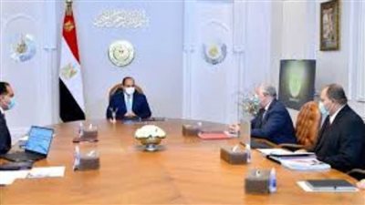 الرئيس السيسي يوجه بتعزيز منظومة تنمية الثروة السمكية لتعظيم المخزون بمصر
