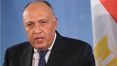 وزير الخارجية: الجهد الدولي المبذول بملف «تغير المناخ» غير كاف