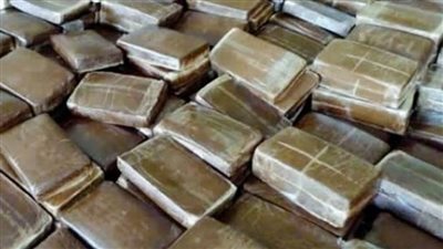 حبس عاطل لحيازته كمية من الحشيش قدرت بمليون جنيه غرب الإسكندرية