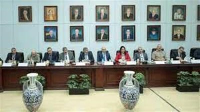 العناني: الالتزام بتطبيق قانون المنشآت الفندقية يساهم في النهوض بالقطاع